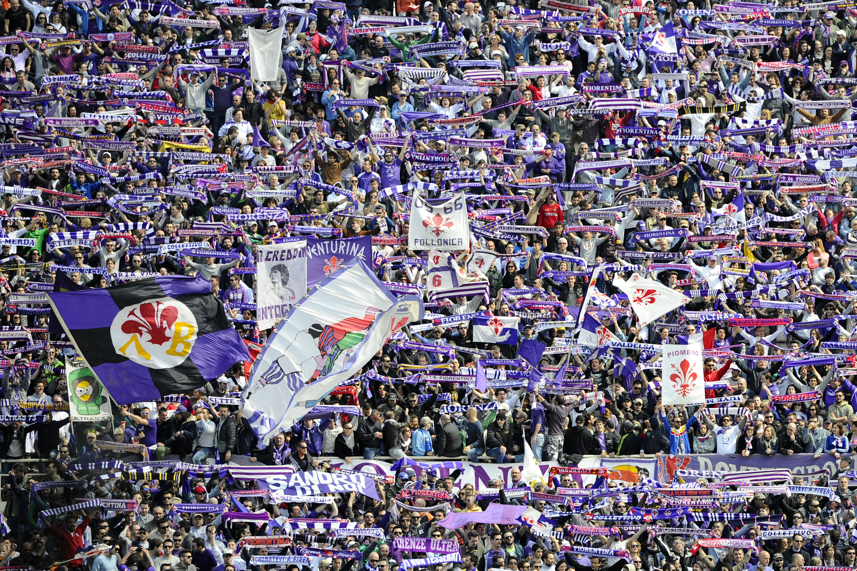 fiorentina tifosi 2013 ifa