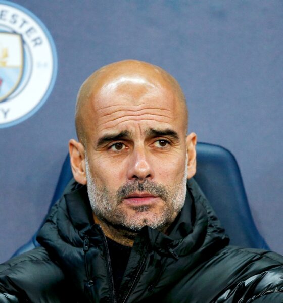 Guardiola brasile