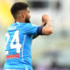 Insigne