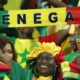 senegal tifosi