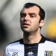 Pandev MG8 4685