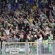 tifosi Celtic AS2 6603