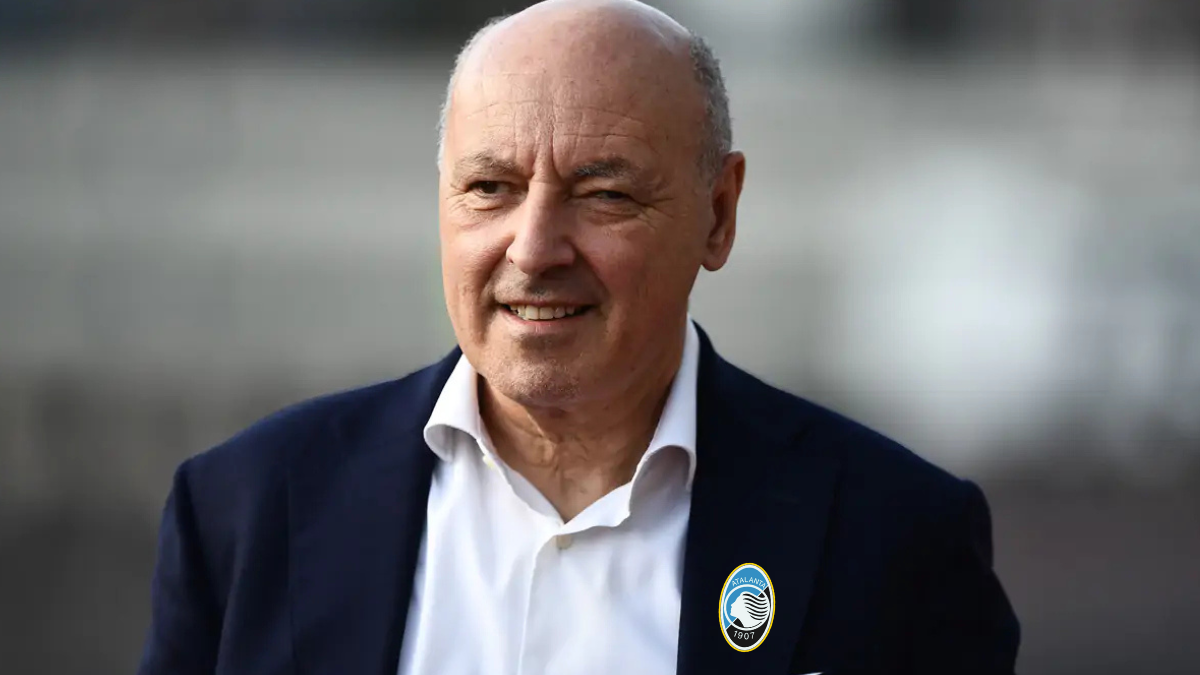 Marotta atalanta