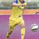 frey azione chievo agosto 2014 ifa