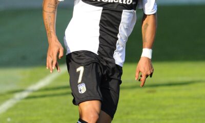 biabiany azione parma 2013 ifa