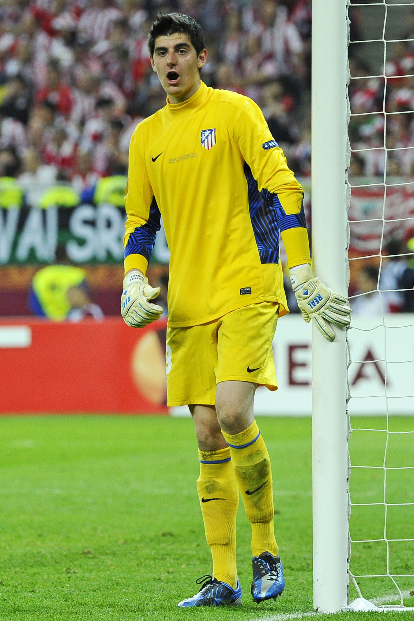 courtois ifa