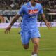 hamsik marek casa napoli 2013 (esulta) ifa