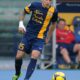 iturbe azione verona 2013 ifa