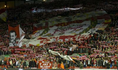 liverpool tifosi ifa