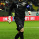 lloris hugo francia (partita) ifa