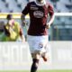 maksimovic azione torino marzo 2014 ifa