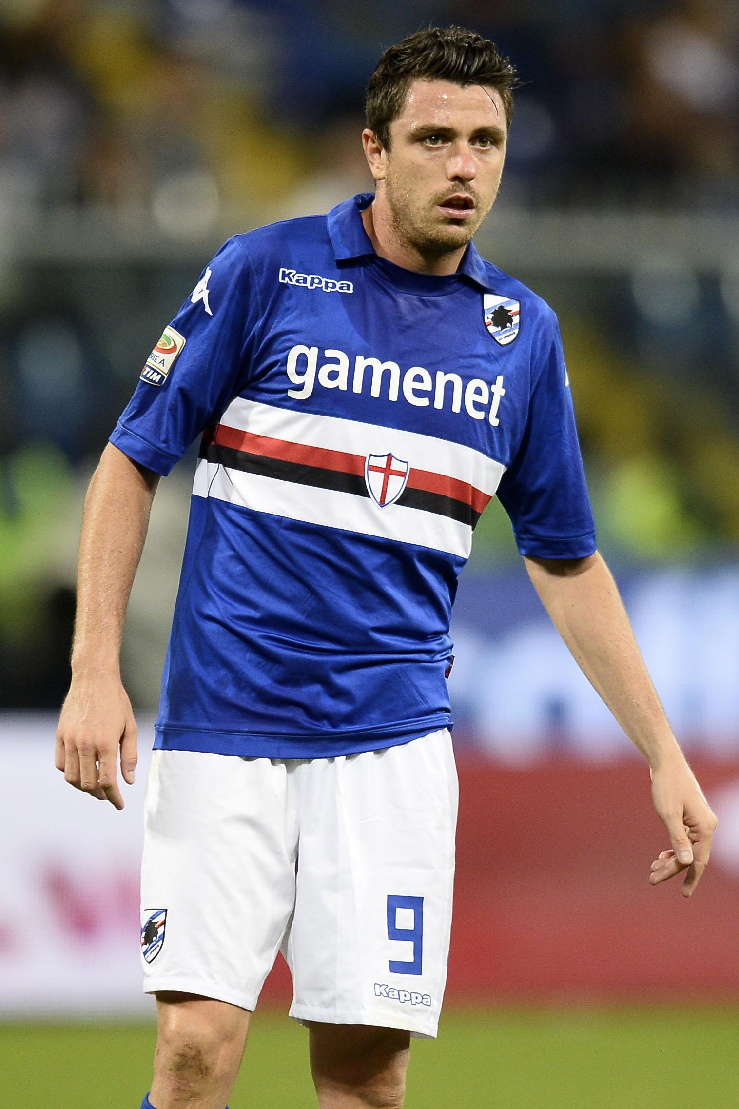 pozzi sampdoria 2013 ifa