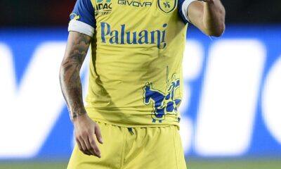 stoian chievo 2013 ifa