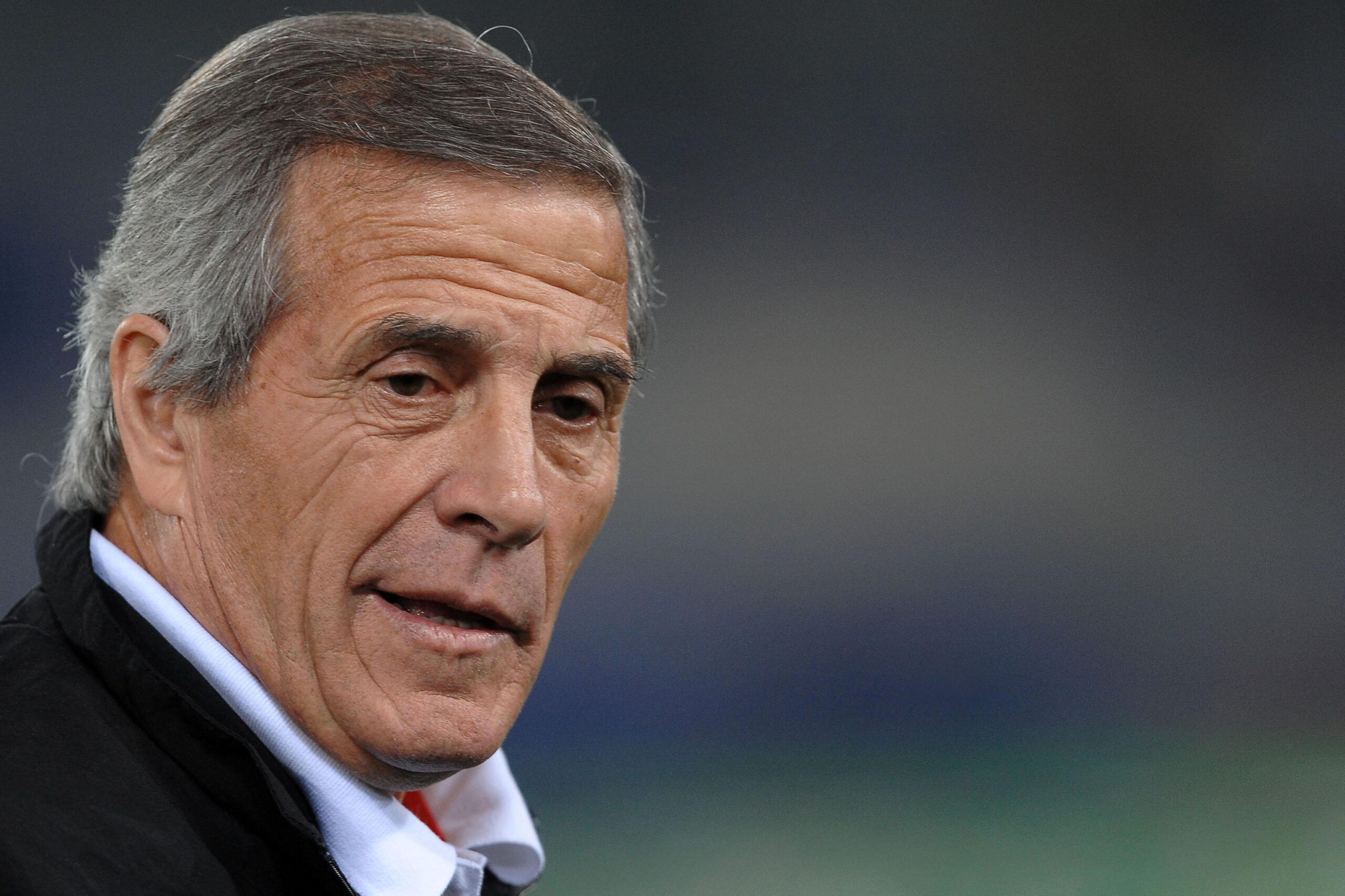 tabarez ifa scaled