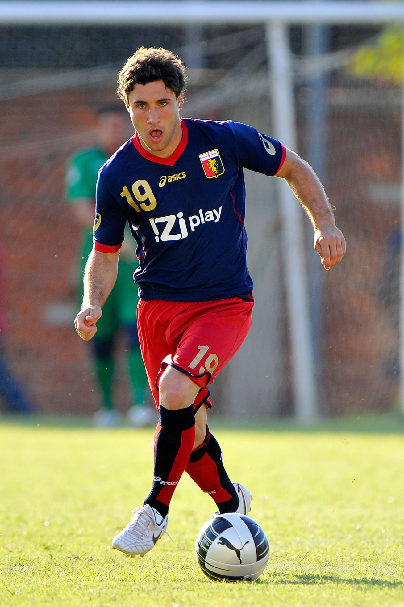 zuculini ifa